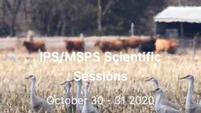 IPS-MSPS Scientific Sessions 2020