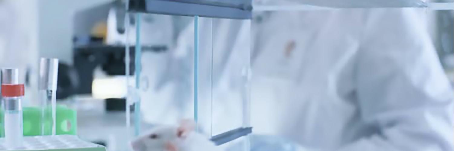 Mechanical Ventilation Strategies using the SAR-1000 Ventilator