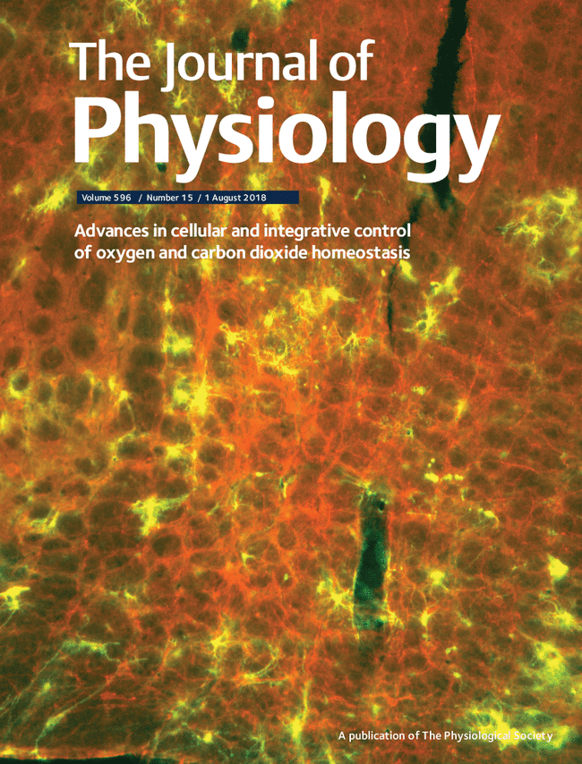 GSM-3, Hypercapnia-induced active expiration, breathing control, EEG, EMG, expiratory activity, sleep, wakefulness