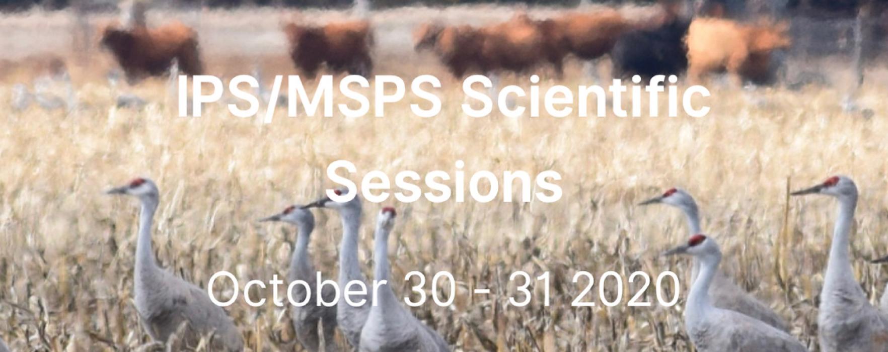 IPS-MSPS Scientific Sessions 2020