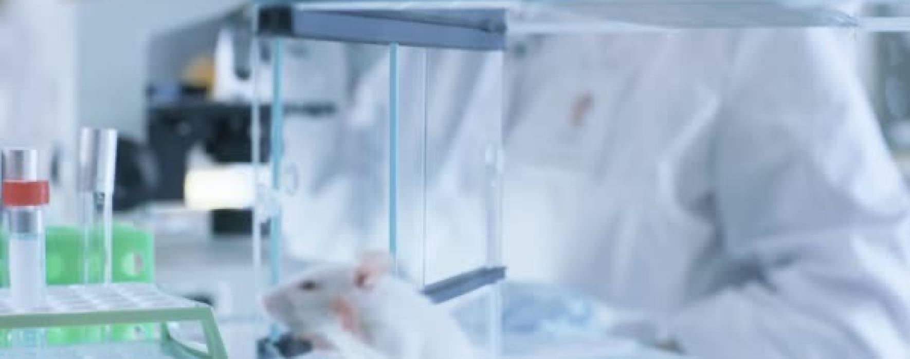 Long-term Ventilation Strategies for Small Animals Mechanical Ventilation Strategies using the SAR-1000 Ventilator