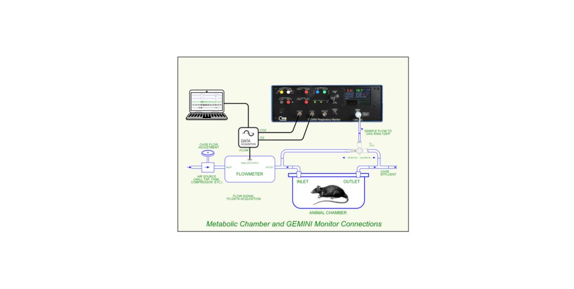 Metabolic Monitoring Using the GEMINI O2 & CO2 Monitor